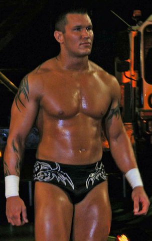 379px-Randy_Orton_One_Night_Stand_2007.jpg, 46 KB